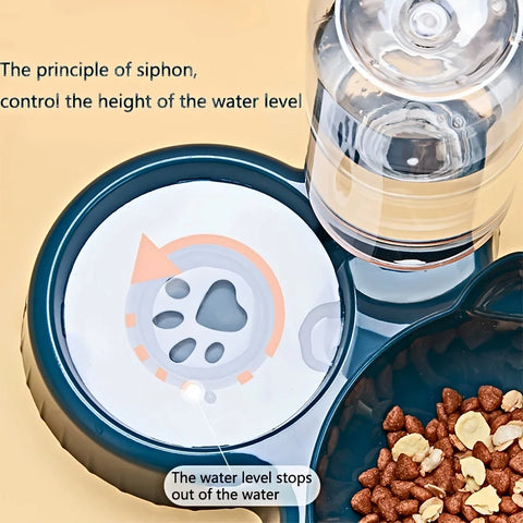 3-in-1 Tilted Pet Bowl