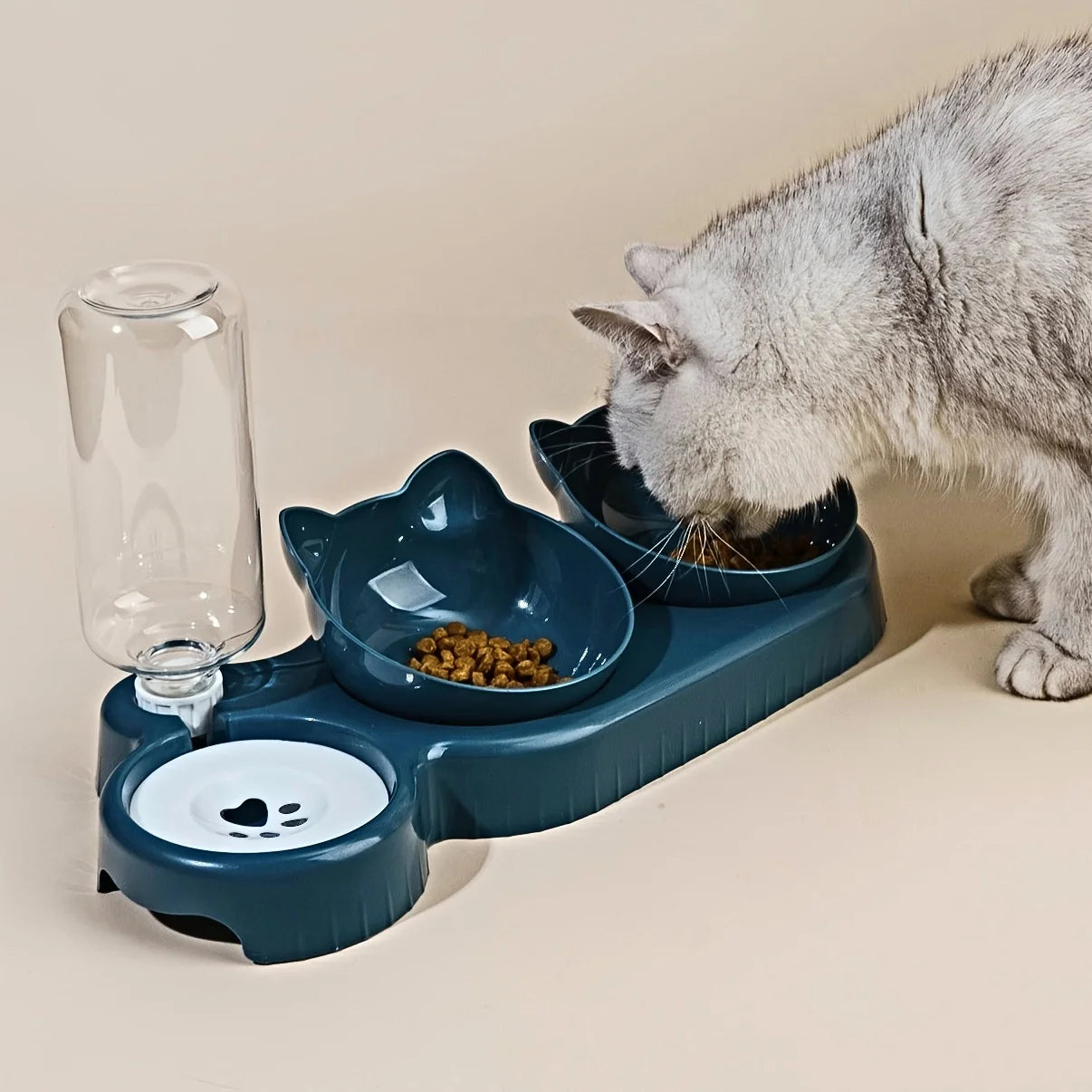 3-in-1 Tilted Pet Bowl