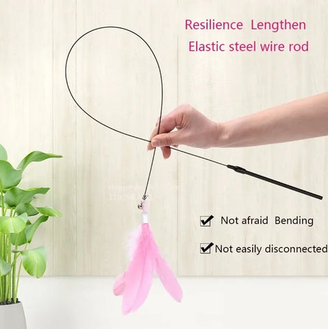 Cat Teaser Wand